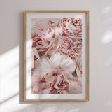 Plakat - Pink Closeup II - Incado
