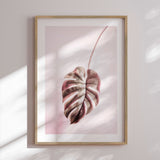 Plakat - Pink Monstera - Incado