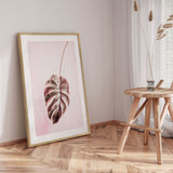 Plakat - Pink Monstera - Incado