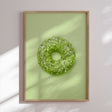 Plakat - Green Donut - Incado