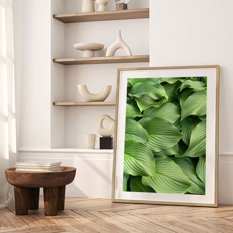 Plakat - Green Hosta - Incado