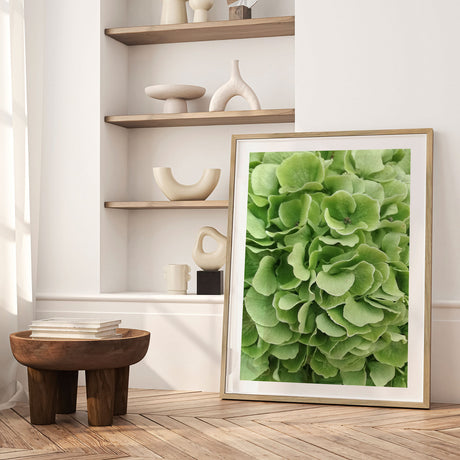 Plakat - Green Hortensia - Incado