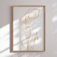 Plakat - Oblique - Incado