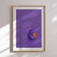 Plakat - Single Anemone - Incado