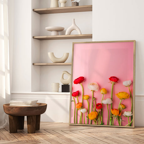 Plakat - Ranunculus Pink - Incado