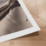 Plakat - Beach Timber - Incado