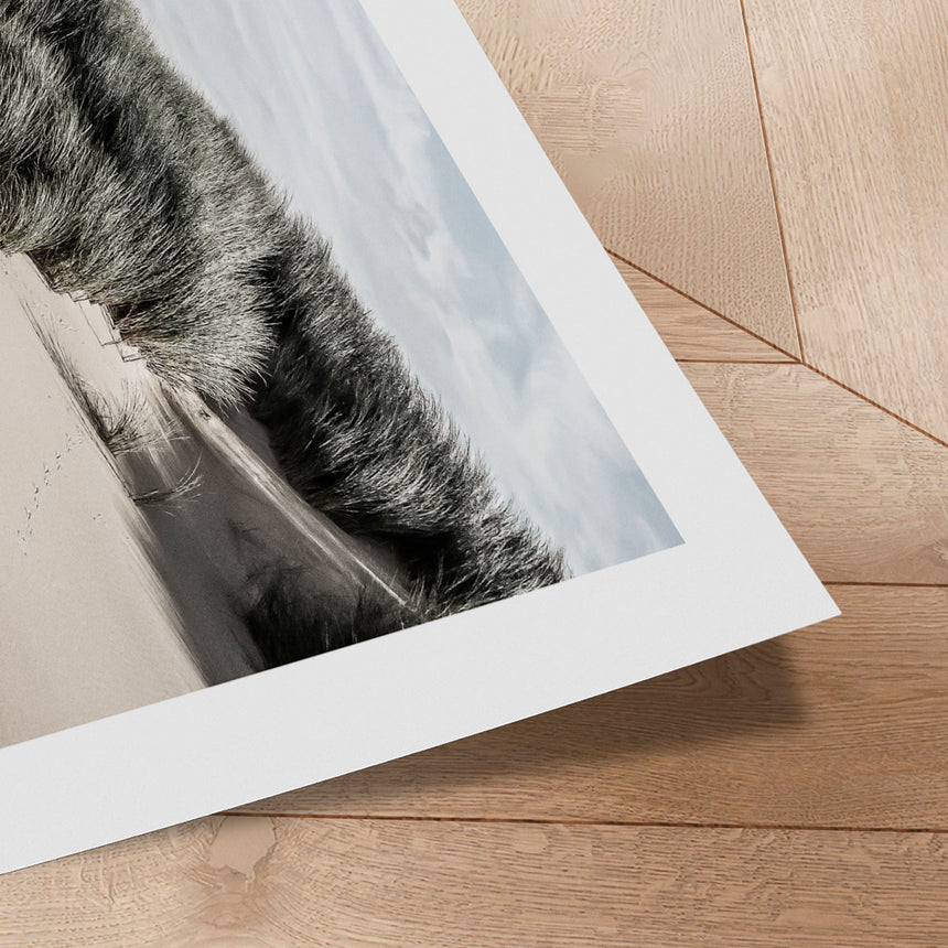 Plakat - Sand Dunes - Incado