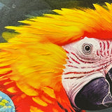 Håndlavet maleri med ramme - Parrot I - Mixed media - Incado