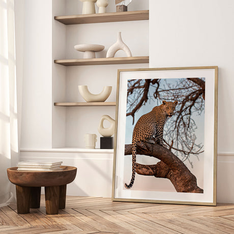 Plakat - Sitting on the Tree - Incado