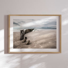 Plakat - Shore Echoes - Incado