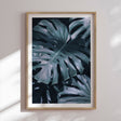 Plakat - Monstera - Incado