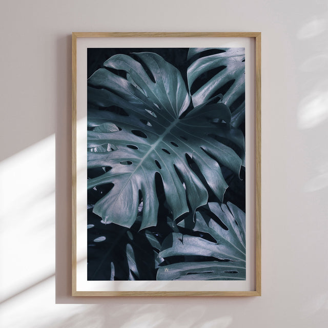 Plakat - Monstera - Incado