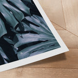 Plakat - Monstera - Incado
