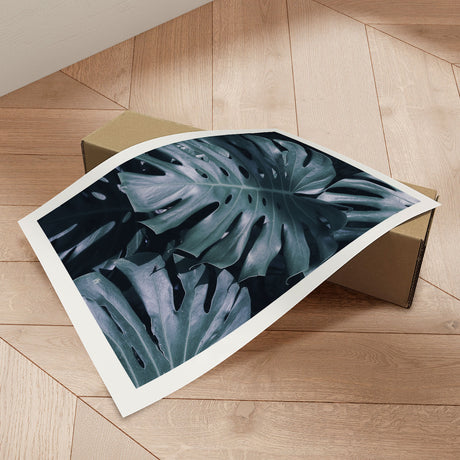 Plakat - Monstera - Incado