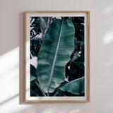 Plakat - Banana - Incado