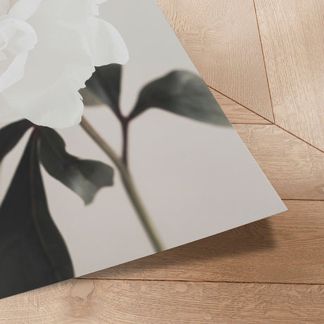 Plakat - Peony - 1x Studio II