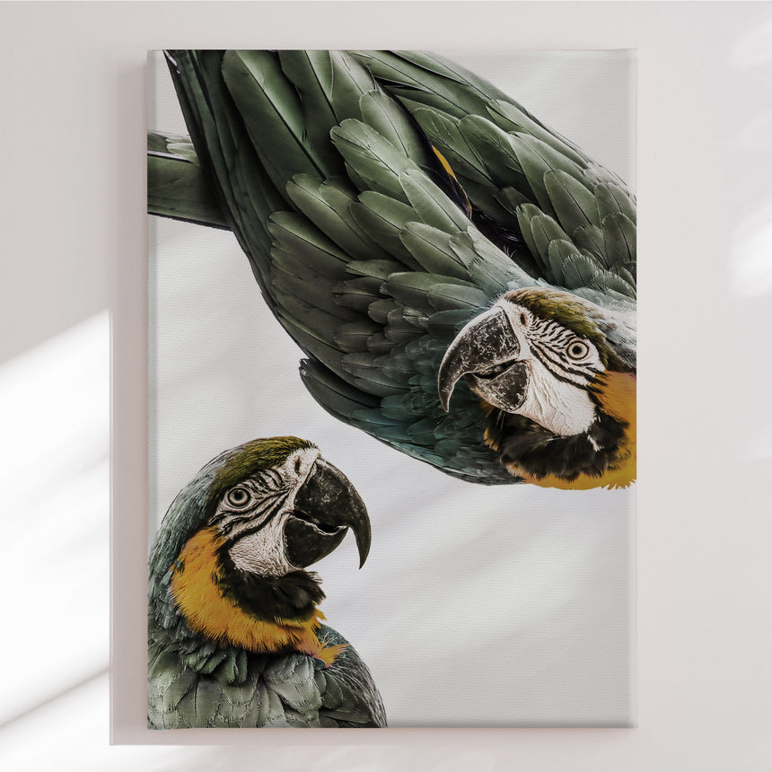 Lærredstryk - Vibrant Parrot Duo - Treechild