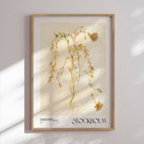 Plakat - Vintage Plant - NKTN - Incado