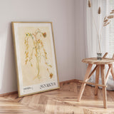 Plakat - Vintage Plant - NKTN - Incado
