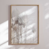 Plakat - Pampas Grass - Magda Izzard