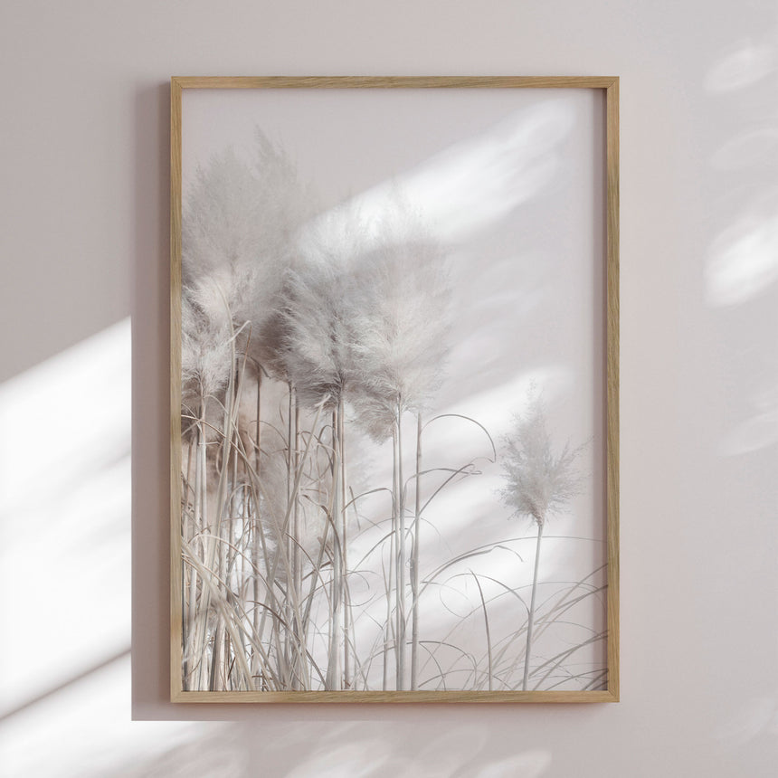 Plakat - Pampas Grass - Magda Izzard