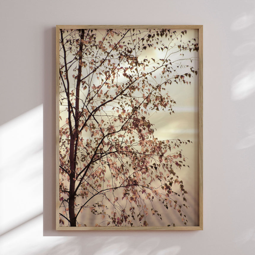 Plakat - Morning Brilliance - Christina Sillen