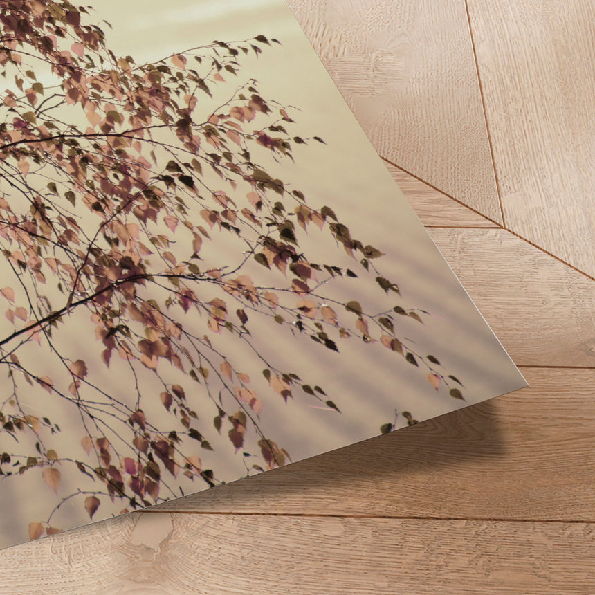 Plakat - Morning Brilliance - Christina Sillen