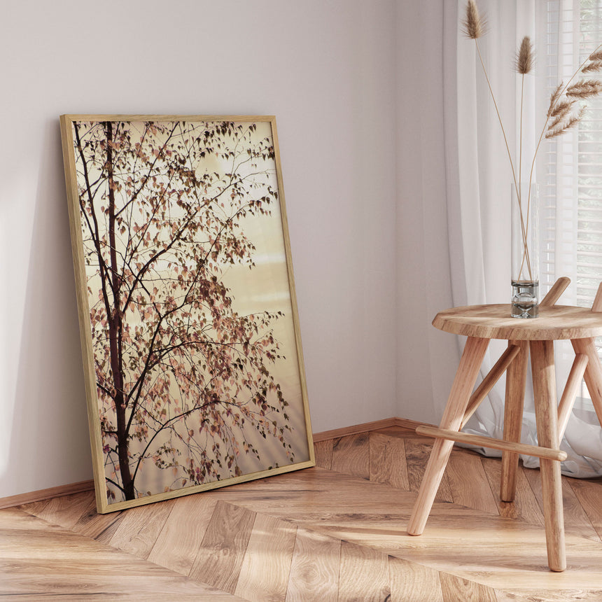 Plakat - Morning Brilliance - Christina Sillen