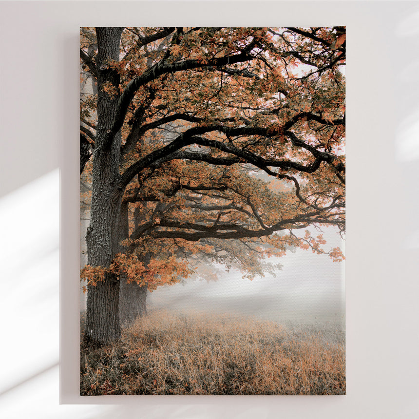 Lærredstryk - Autumn Oaks - Christina Sillen