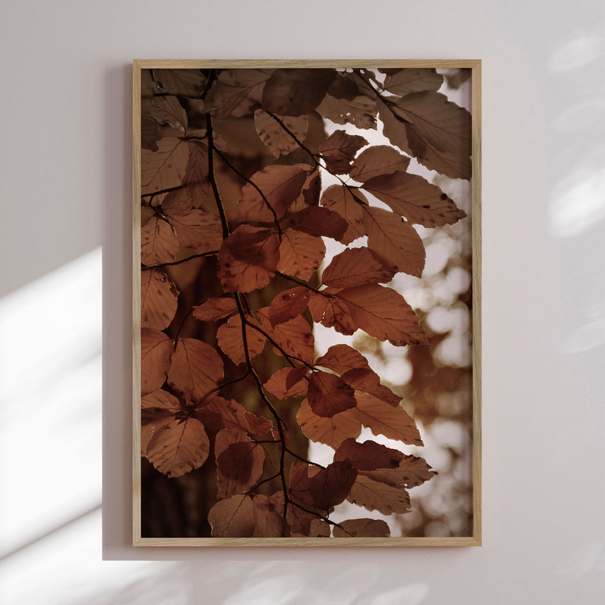 Plakat - Autumn Glow - Christina Sillen