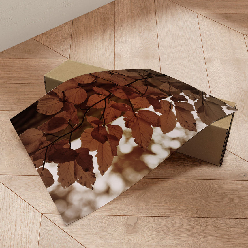 Plakat - Autumn Glow - Christina Sillen