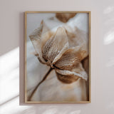 Plakat - Delicate Veins - Treechild
