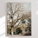 Lærredstryk - Oak Tree - Gemma Bardot