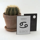 Art Block - Krebsen - Incado